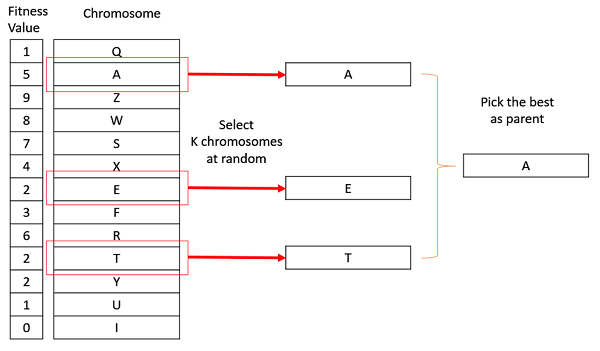 ../../_images/tournament_selection.png